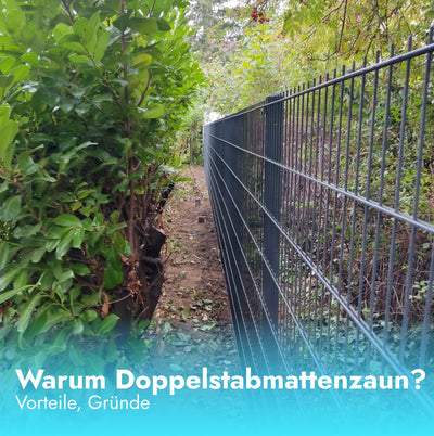 Die Vielseitigkeit und Vorteile des Doppelstabmattenzauns